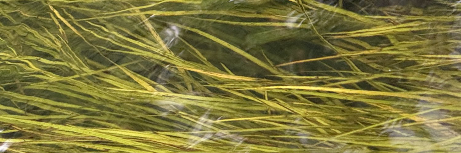 _Zoltrax_'s profile banner image