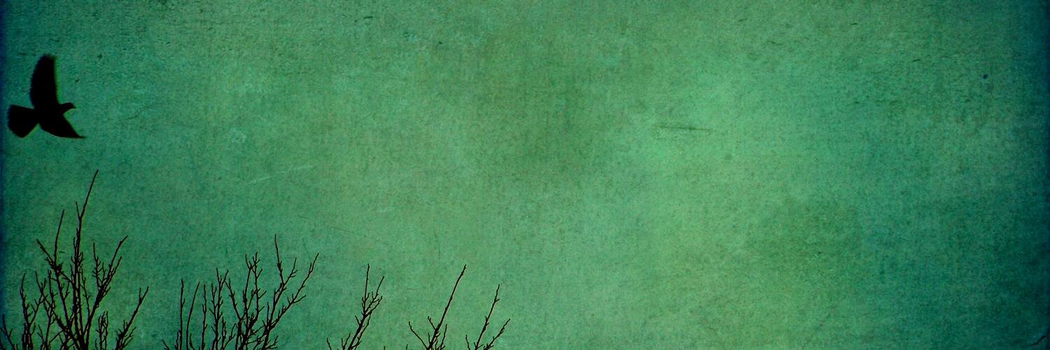 beralvis's profile banner image