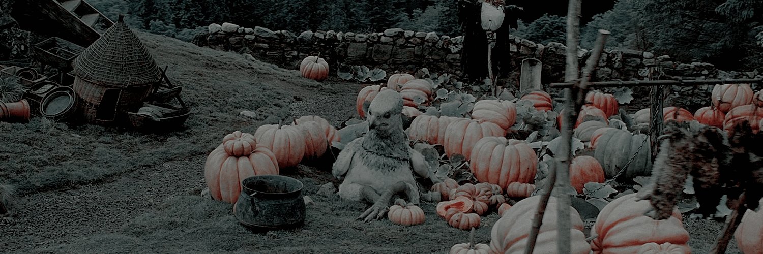 𝖠𝖼𝖼𝗂𝗈 𝖱𝗈𝗅 | OFF | banner