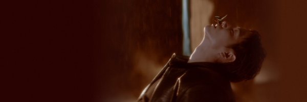 DNAmngmnt Profile Banner