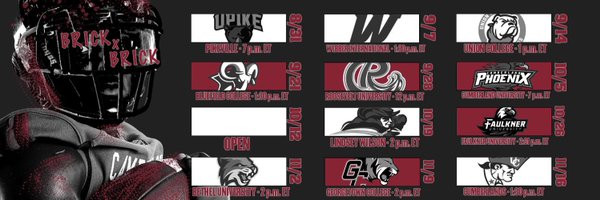 DomLewisCU Profile Banner