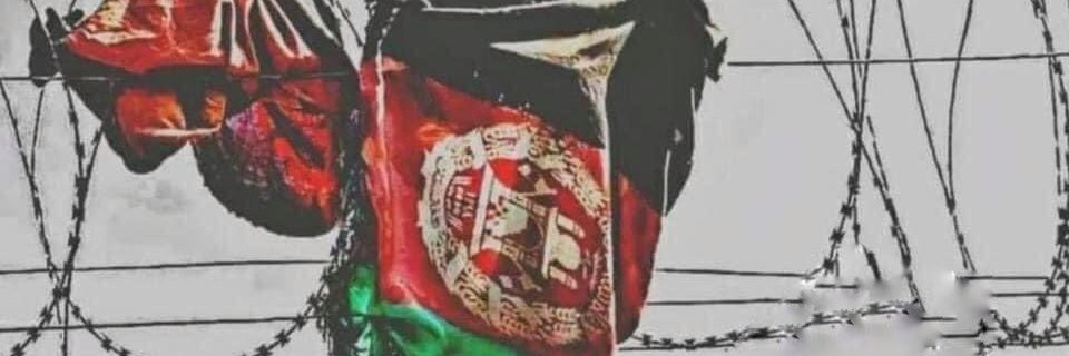 Naweed Kawusi banner