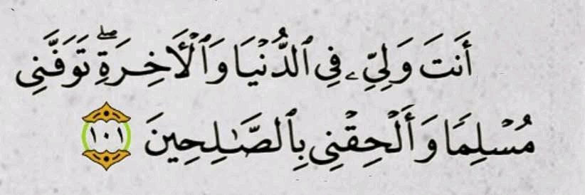 الدكتور السعيد بن إبراهيم banner