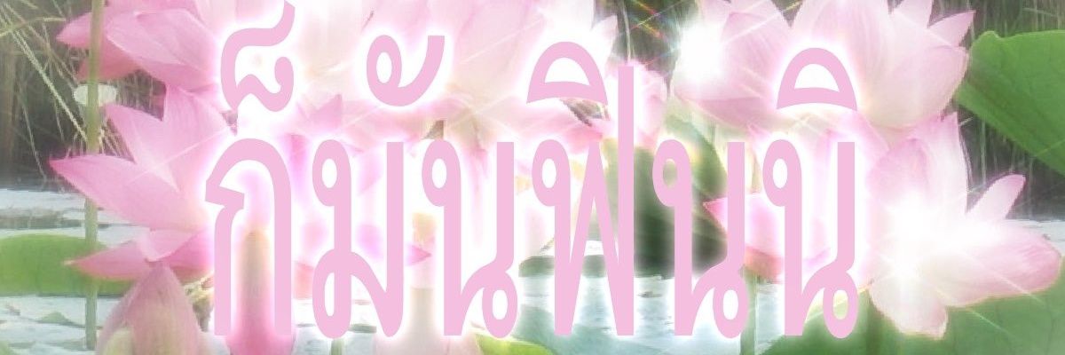 แมวเก่าๆตุวเปื้อนๆ banner