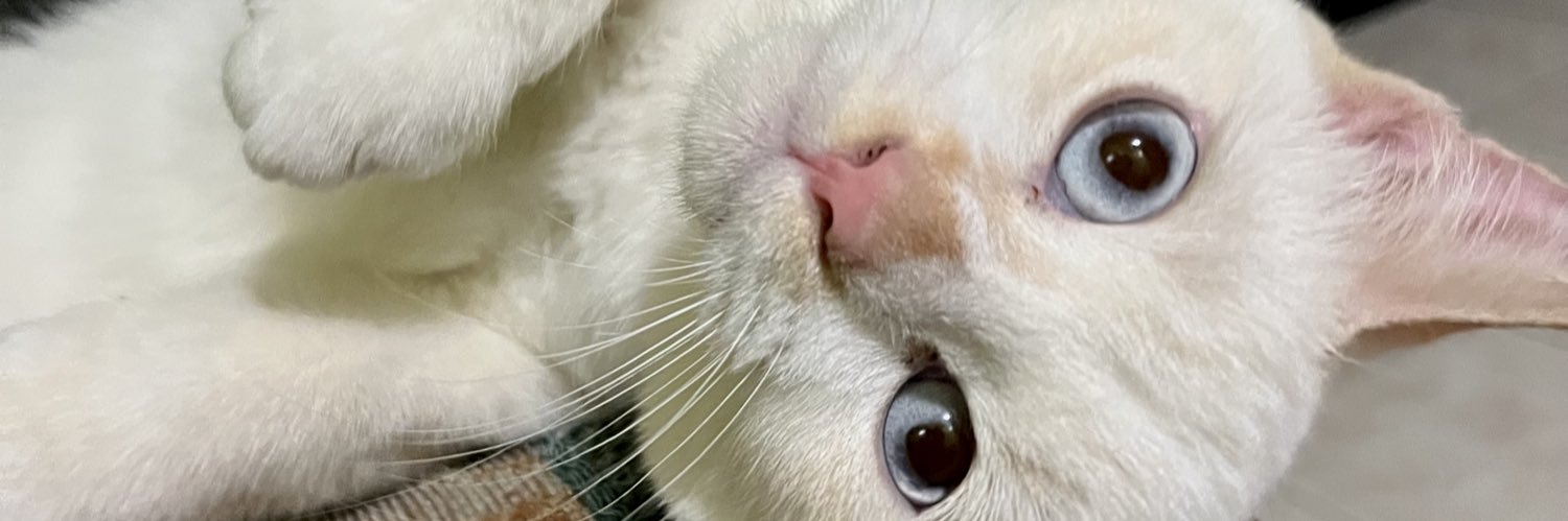 theiyy's profile banner image