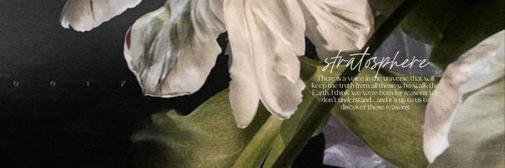 eoyjin's profile banner image