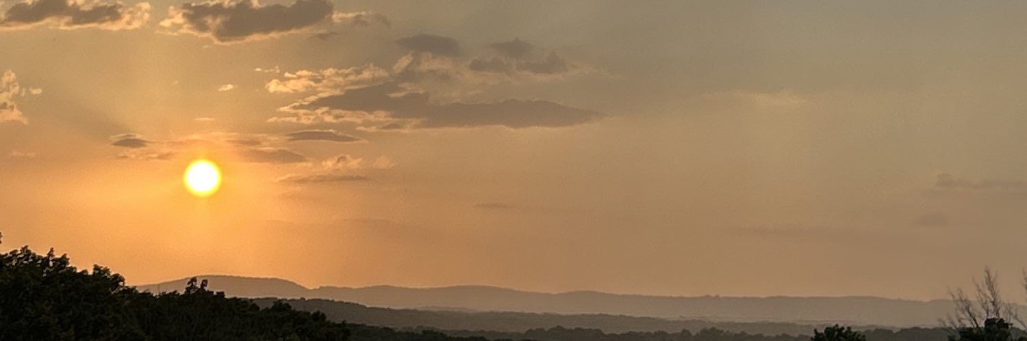 Louisiana Dawg banner