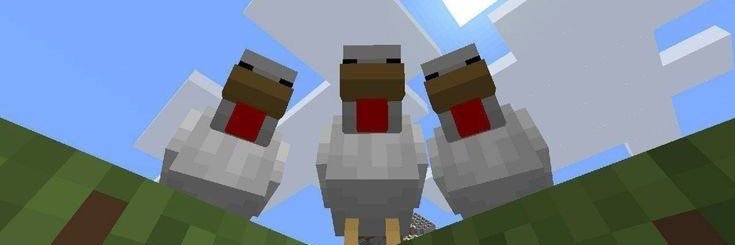 stbmdr's profile banner image