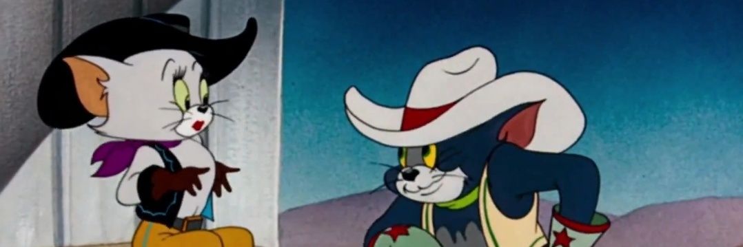 StillConfuused's profile banner image