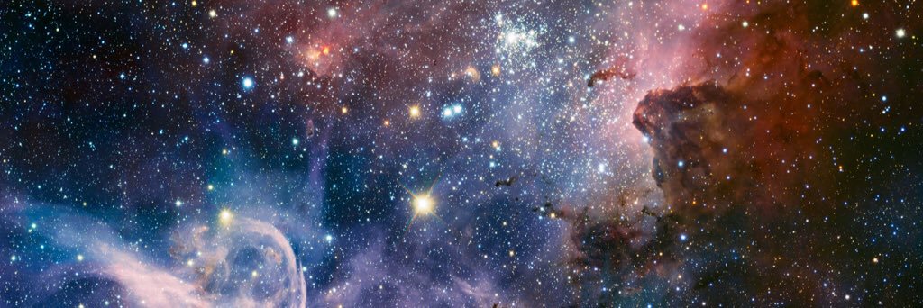 Dr. Heidi White banner