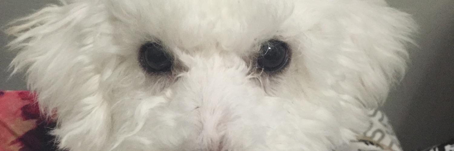 fredb0t's profile banner image