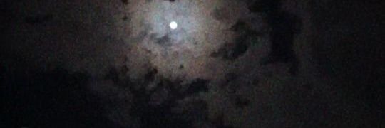 🦋 SEHAM 🦋 banner