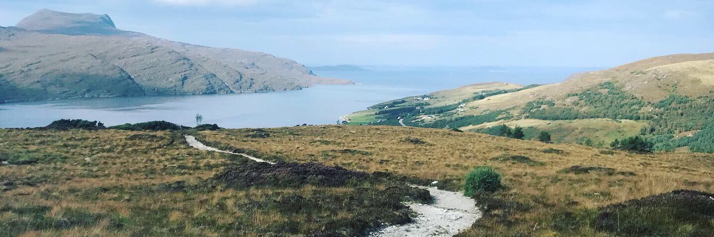 David S. Manson banner