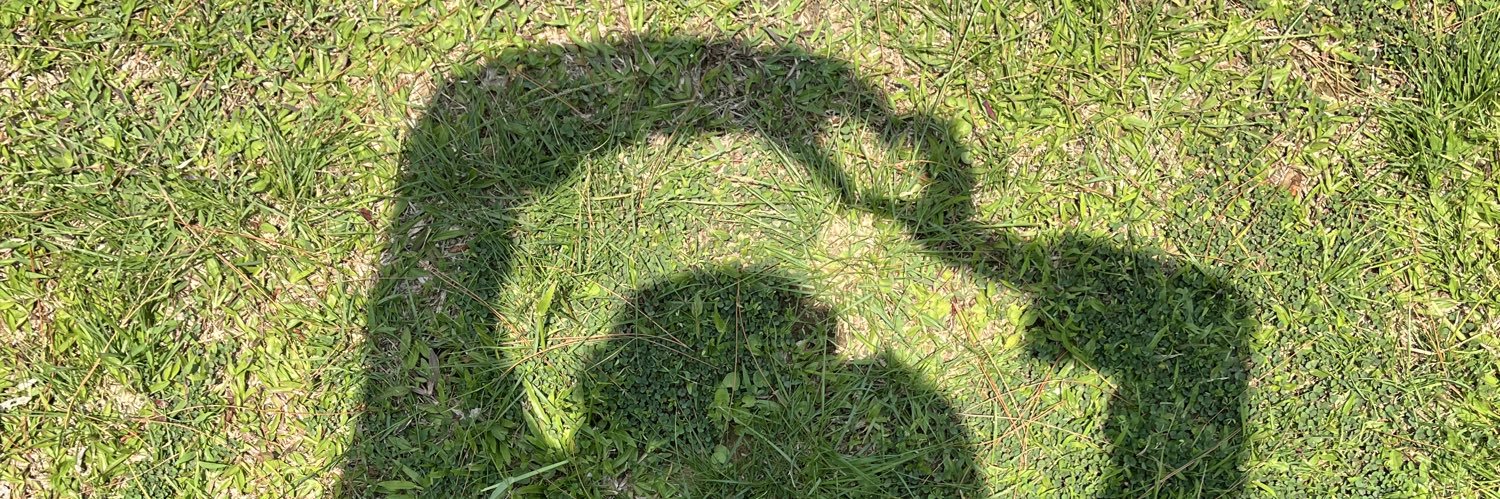 Anyess_'s profile banner image