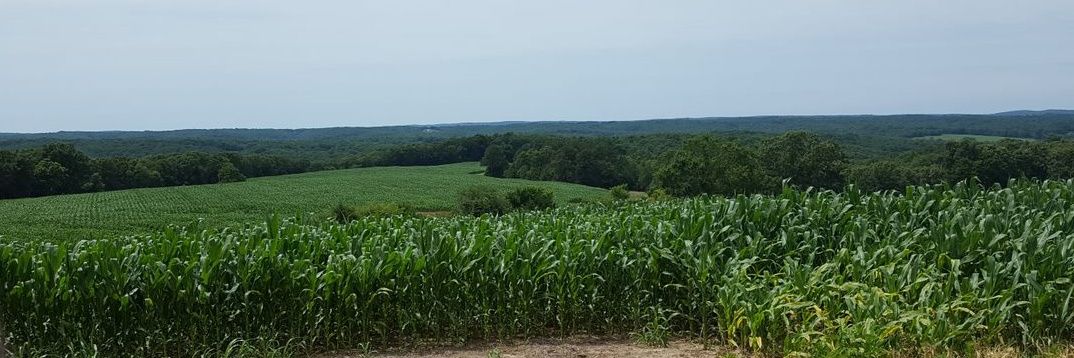 MissouriWhale's profile banner image