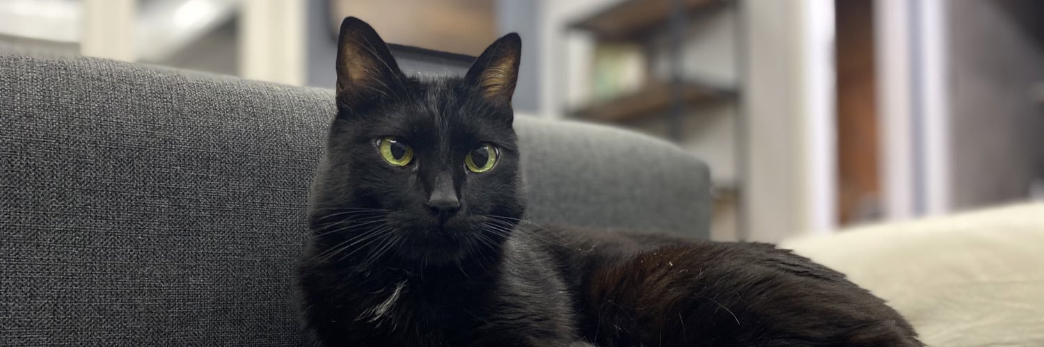 Charliekaster's profile banner image
