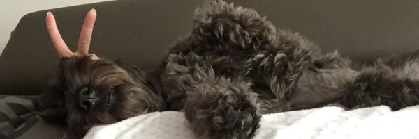 Notti Profile Banner