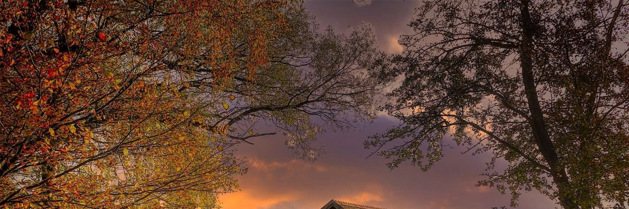 a__andrews's profile banner image