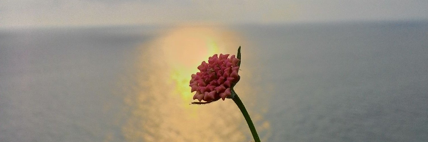 Fernand0_Risky's profile banner image