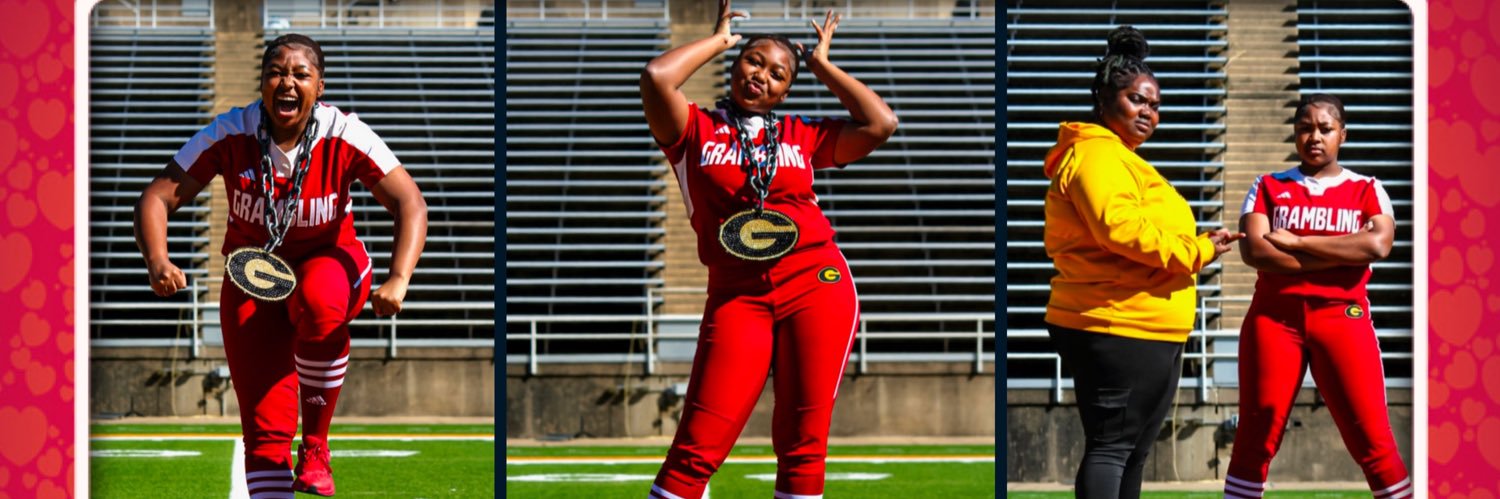 SoftballKQ's profile banner image