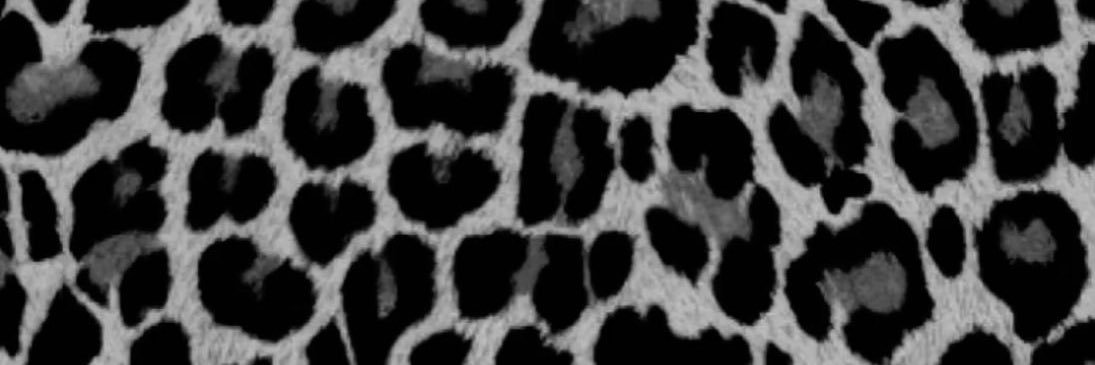 mpichu06's profile banner image