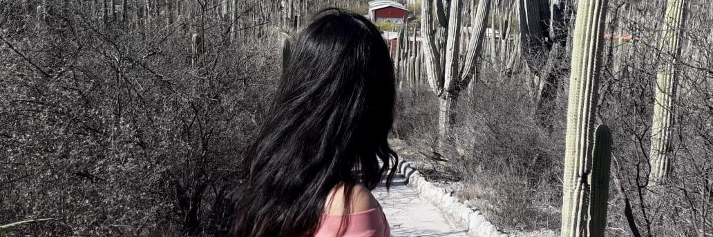SunnyGallardo95's profile banner image