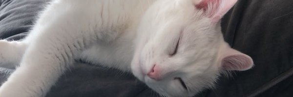 Stitch Profile Banner