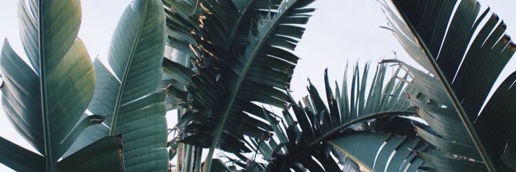 xoAmber's profile banner image