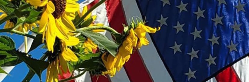VFTHVdotCom's profile banner image