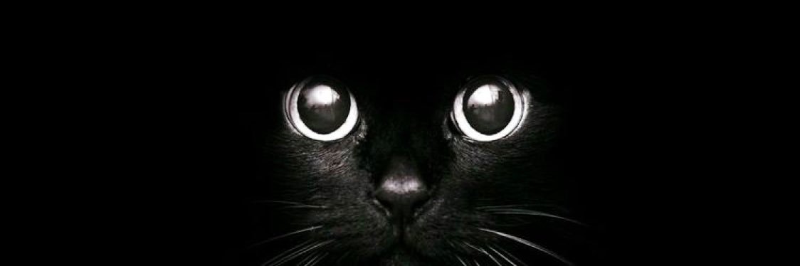 Magda_tovar's profile banner image