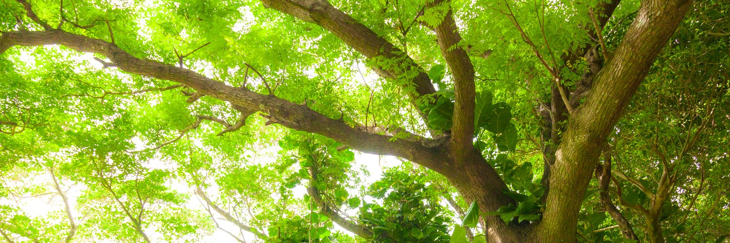 whtstep's profile banner image