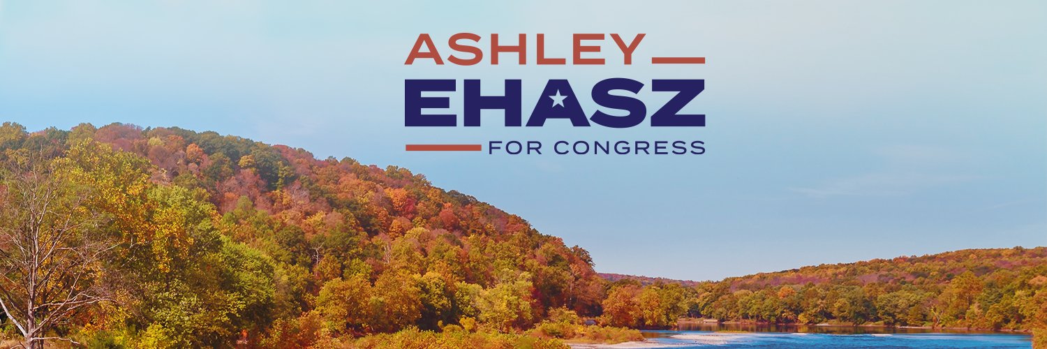 Ashley Ehasz Profile Banner