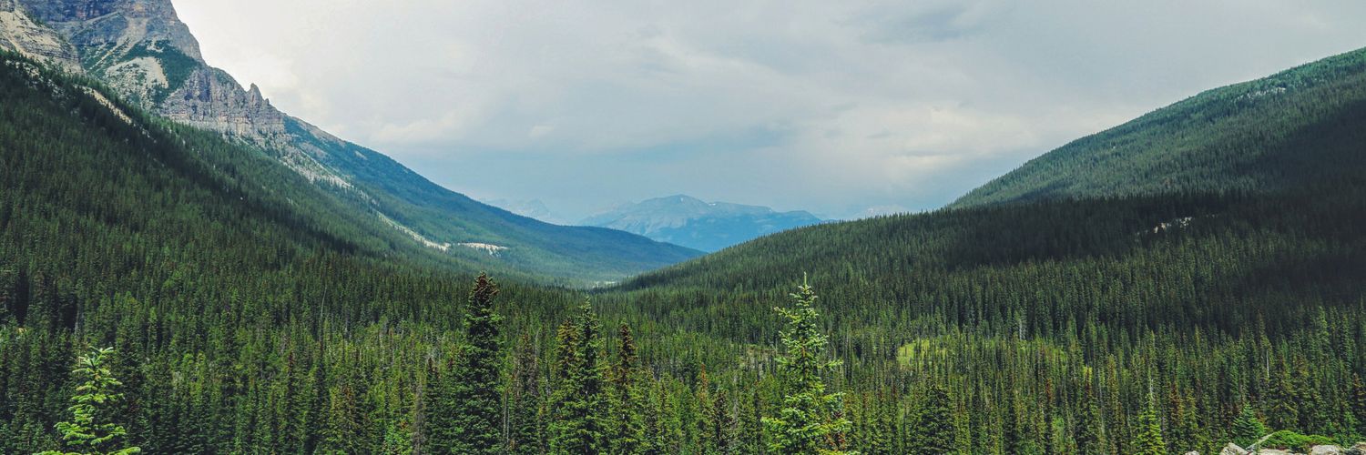 nickkernick's profile banner image