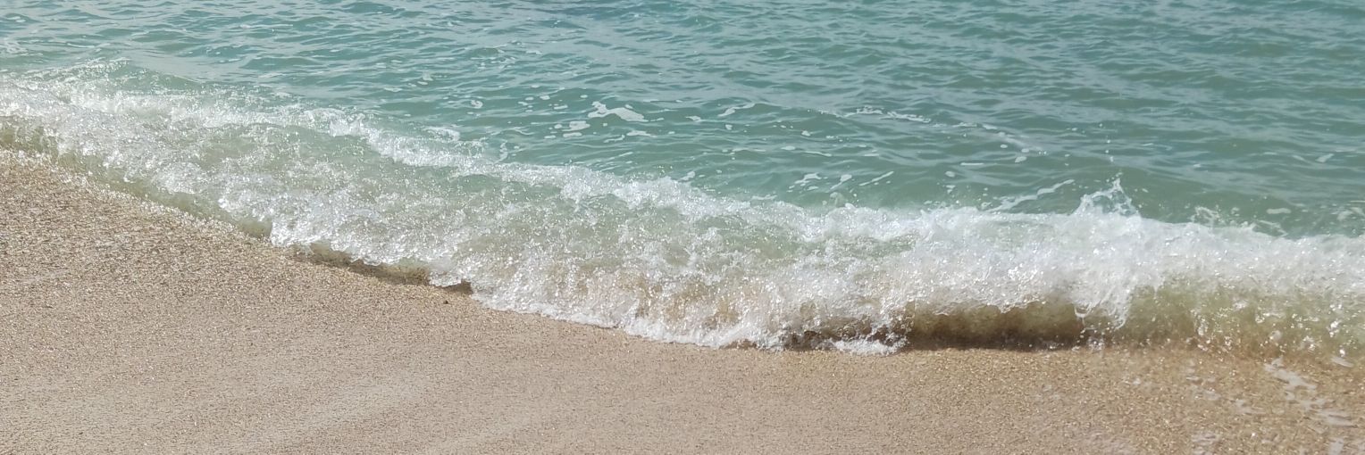 camilleeduave's profile banner image