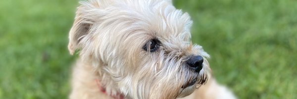 SDicko83 Profile Banner