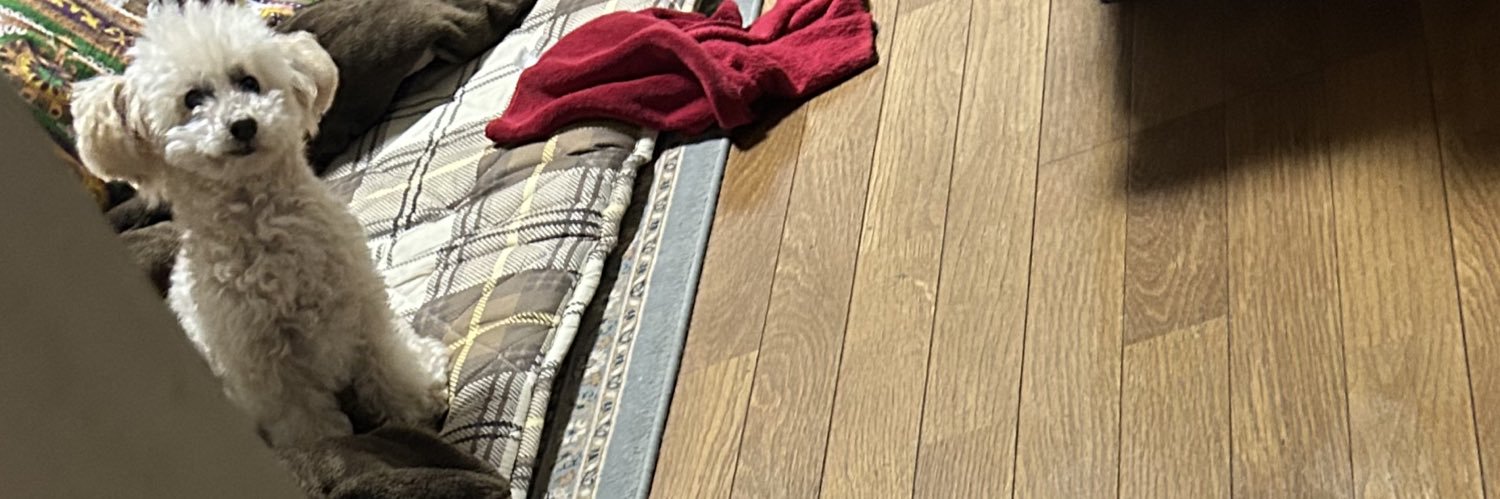 ひろぽん banner