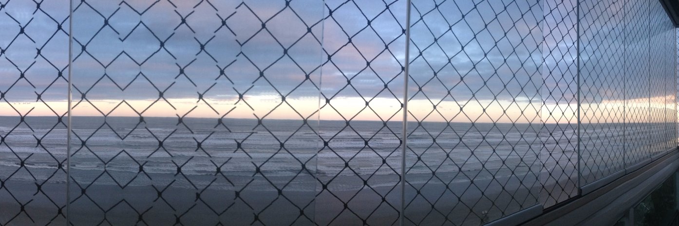 LS banner