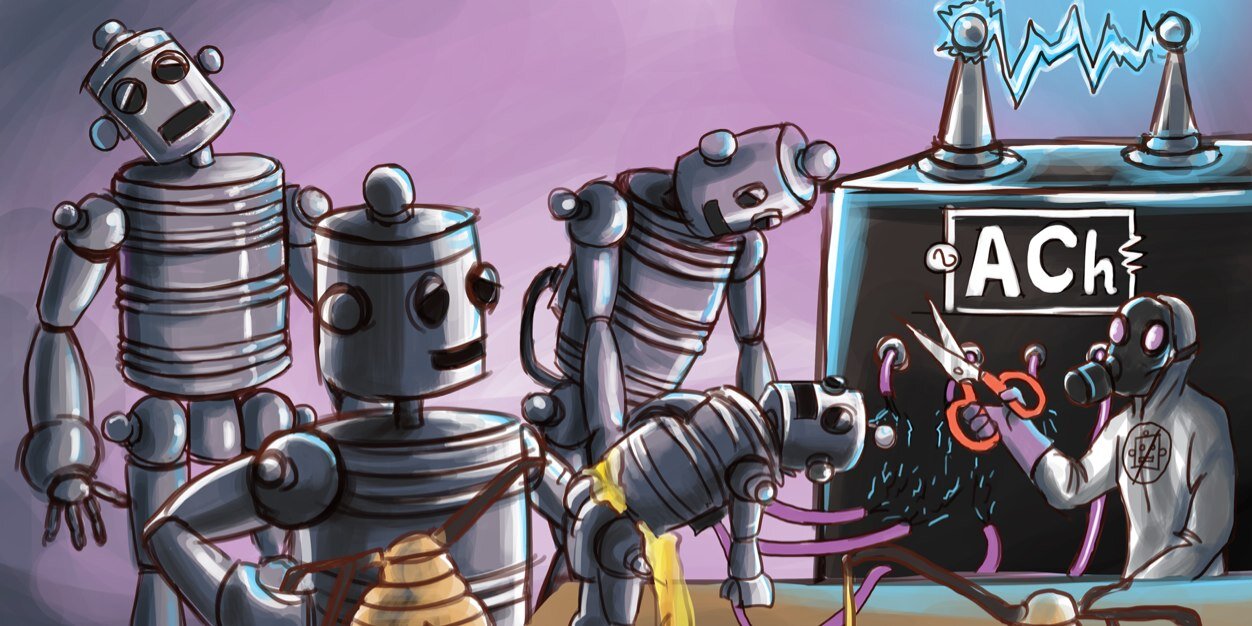 Andrew Berg MD banner