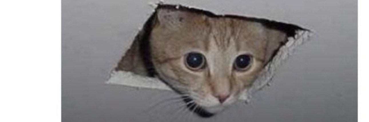 BakerDegen banner