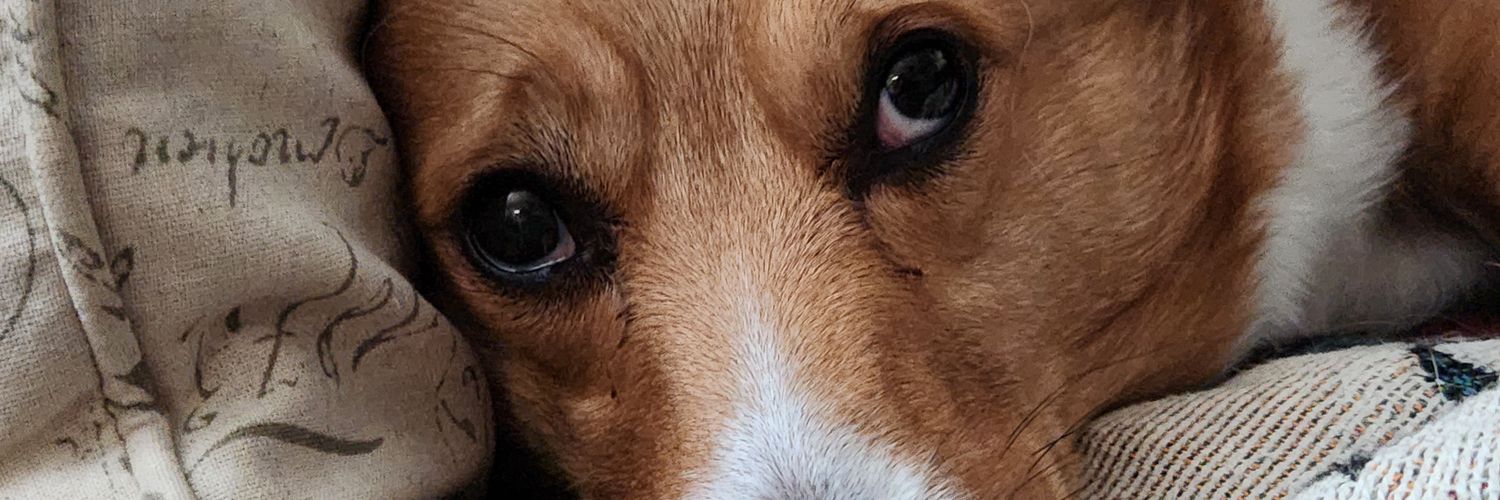 MattyD banner