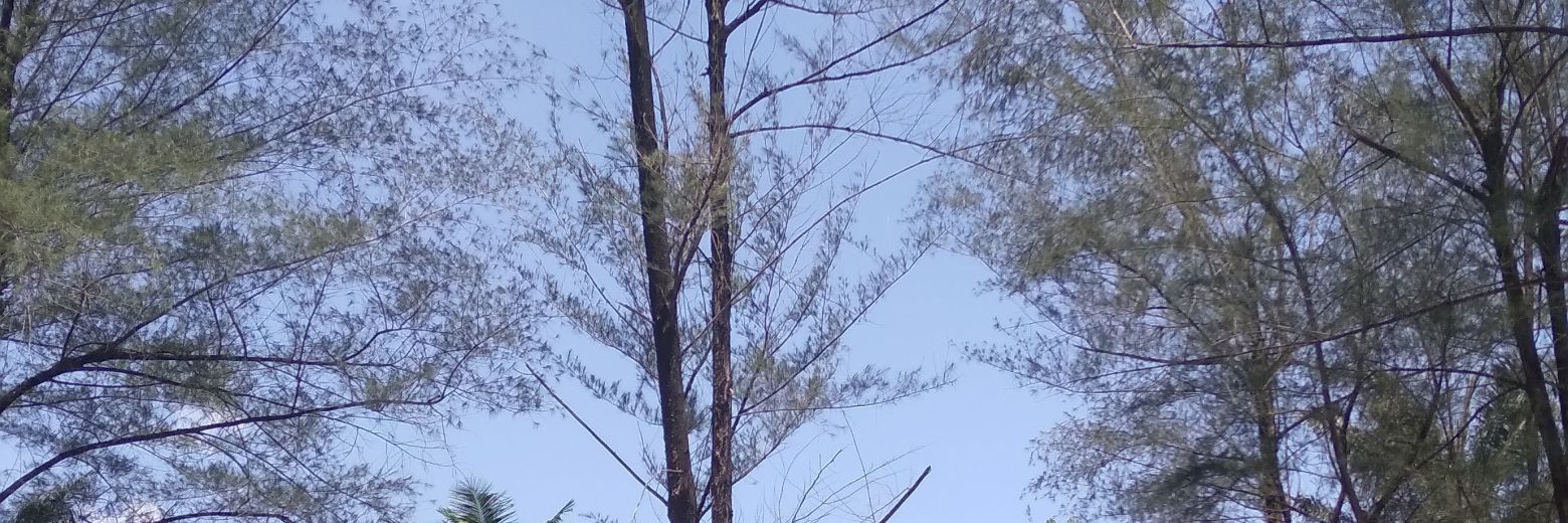 jagunggg_bakar banner