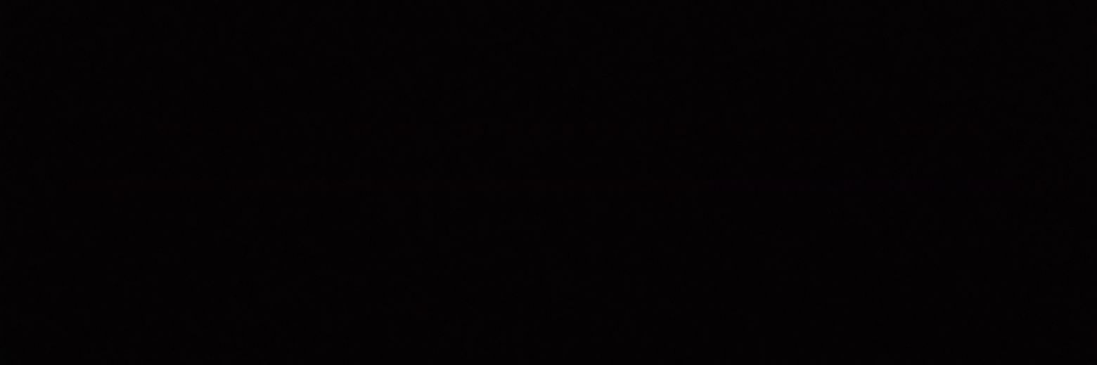 Rapunzel banner