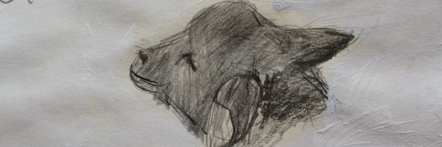 jetrotmans's profile banner image