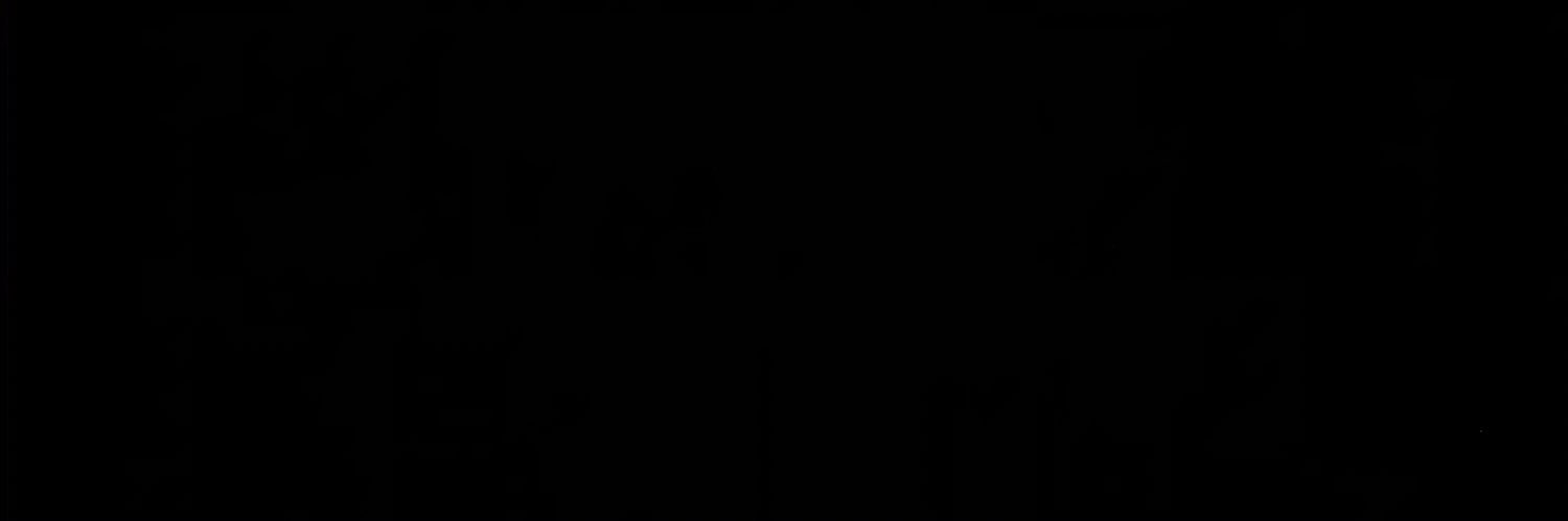 domingosj95's profile banner image
