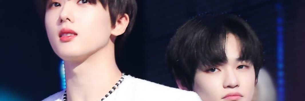 🐬 banner