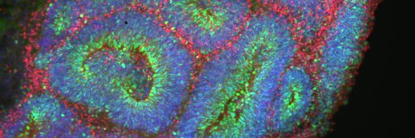 CEJLovejoy Profile Banner