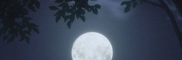 rylouzee's profile banner image