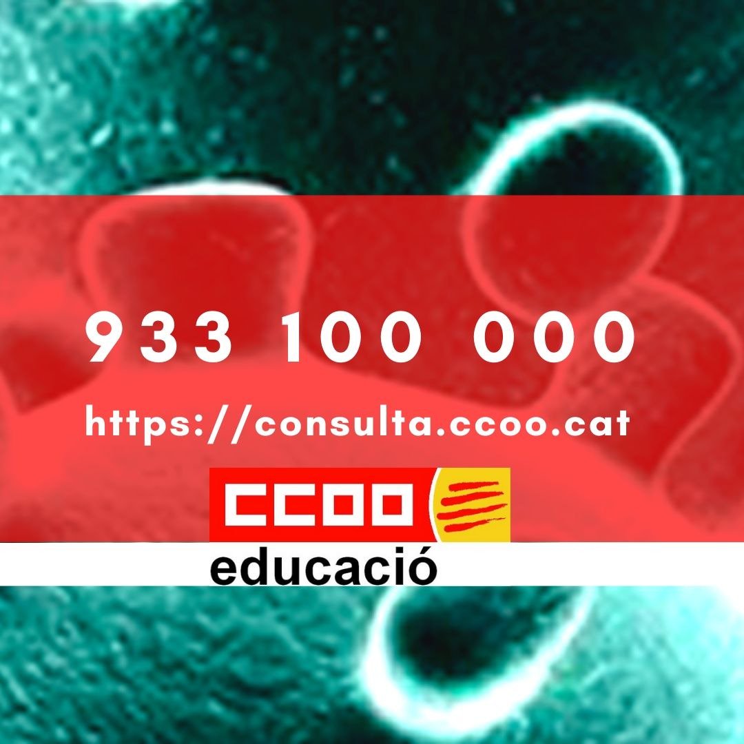 CCOO-UB banner