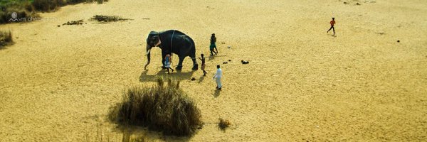 Redfox9891 Profile Banner