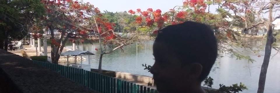 Miraldellys's profile banner image